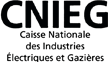 _LOGOS_221x64_CNIEG-NB